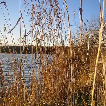Διαμέρισμα Ferienwohnungen Pronstorfer Torhaus Pronstorf